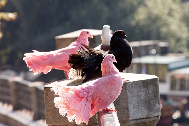 一直以严格 一直以严格