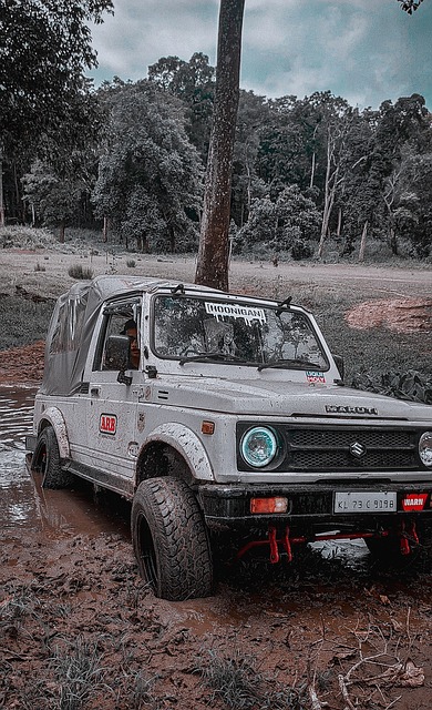 这位荷兰铁 这位荷兰铁