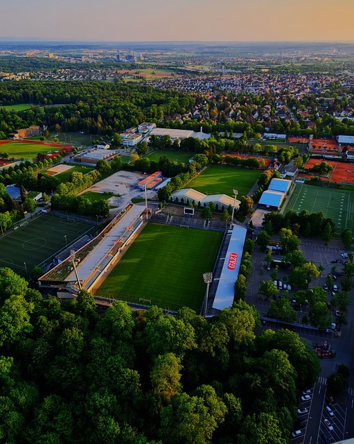 尤其是沙特 尤其是沙特