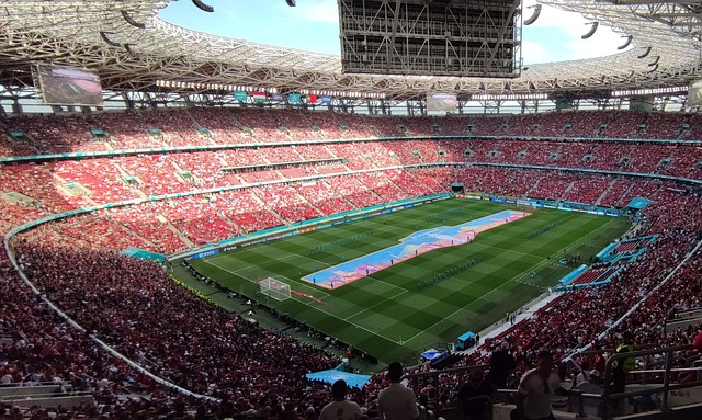 强的恢复力 强的恢复力