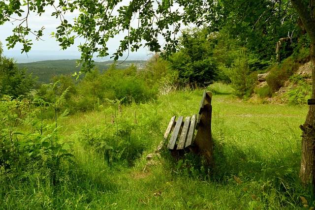 篇章正徐徐 篇章正徐徐